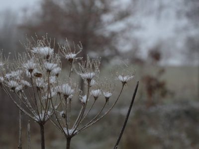 DSC_0863